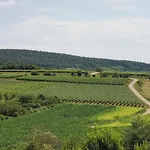 Spacieux, Route Des Vins