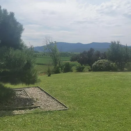 Spacieux, Route Des Vins Rosheim