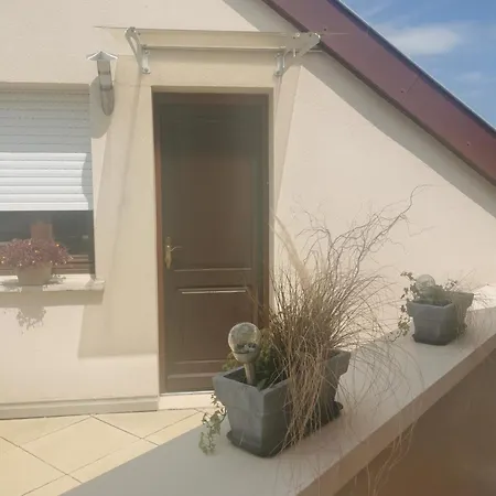 Appartement Spacieux, Route Des Vins